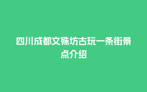 四川成都文殊坊古玩一条街景点介绍