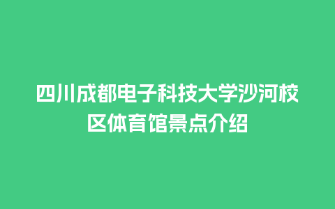 四川成都电子科技大学沙河校区体育馆景点介绍