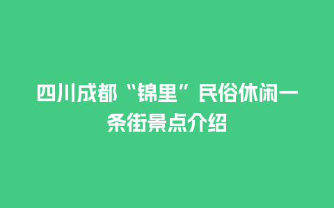 四川成都“锦里”民俗休闲一条街景点介绍