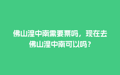 佛山湟中南需要票吗，现在去佛山湟中南可以吗？