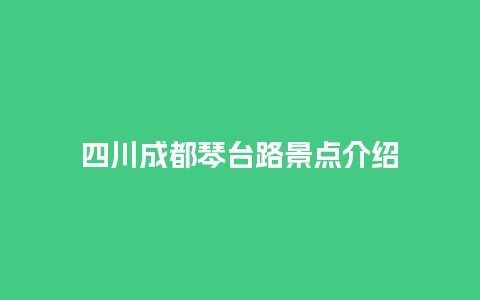 四川成都琴台路景点介绍