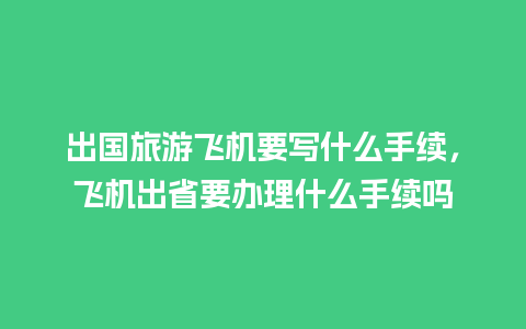 出国旅游飞机要写什么手续，飞机出省要办理什么手续吗