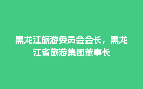 黑龙江旅游委员会会长，黑龙江省旅游集团董事长