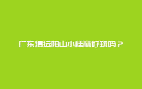 广东清远阳山小桂林好玩吗？