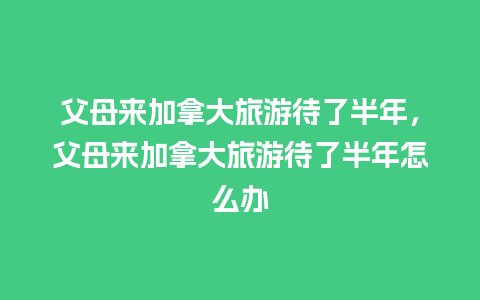 父母来加拿大旅游待了半年，父母来加拿大旅游待了半年怎么办