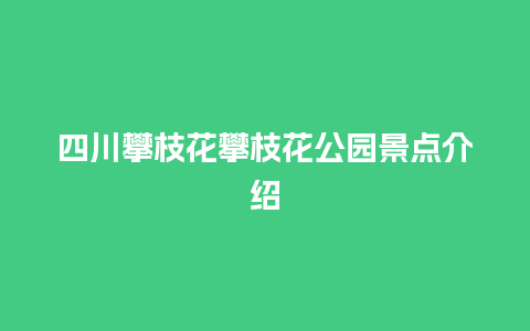 四川攀枝花攀枝花公园景点介绍