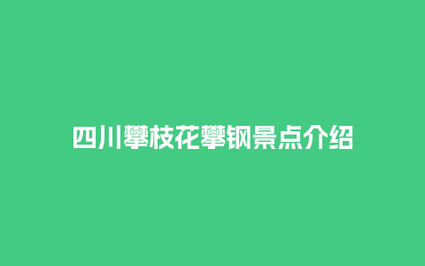 四川攀枝花攀钢景点介绍