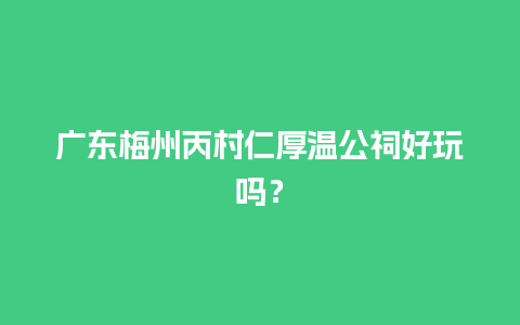 广东梅州丙村仁厚温公祠好玩吗？