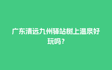 广东清远九州驿站树上温泉好玩吗？