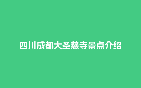 四川成都大圣慈寺景点介绍