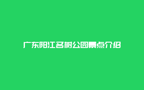 广东阳江名树公园景点介绍