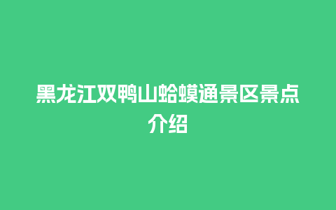 黑龙江双鸭山蛤蟆通景区景点介绍