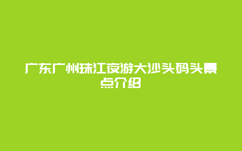 广东广州珠江夜游大沙头码头景点介绍