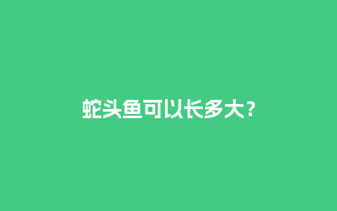 蛇头鱼可以长多大？