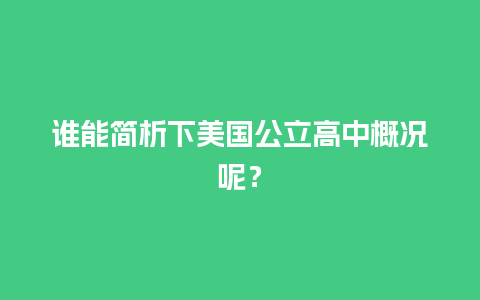 谁能简析下美国公立高中概况呢？