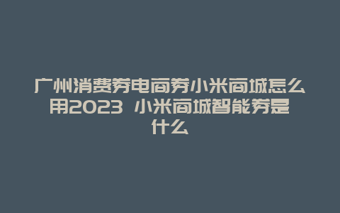 广州消费券电商券小米商城怎么用2024年 小米商城智能券是什么