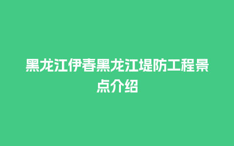 黑龙江伊春黑龙江堤防工程景点介绍