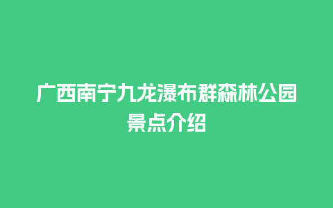 广西南宁九龙瀑布群森林公园景点介绍