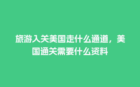 旅游入关美国走什么通道，美国通关需要什么资料