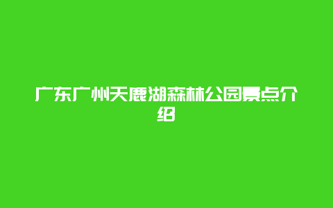 广东广州天鹿湖森林公园景点介绍