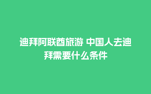 迪拜阿联酋旅游 中国人去迪拜需要什么条件