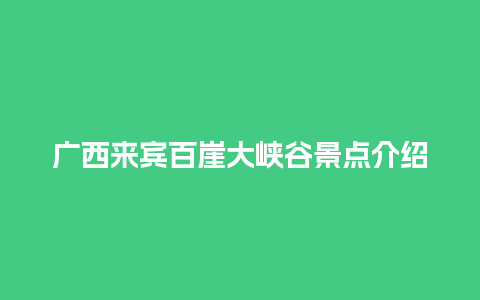 广西来宾百崖大峡谷景点介绍