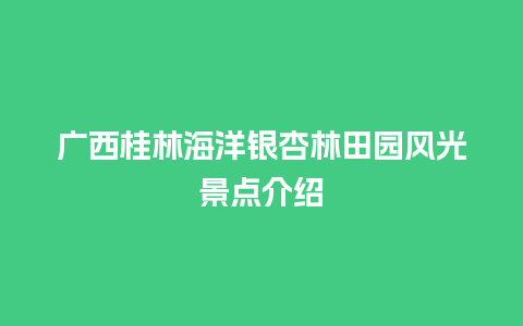 广西桂林海洋银杏林田园风光景点介绍