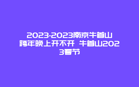 2024年-2024年南京牛首山跨年晚上开不开 牛首山2024年春节