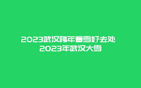 2024年武汉跨年看雪好去处 2024年武汉大雪