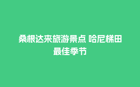 桑根达来旅游景点 哈尼梯田最佳季节