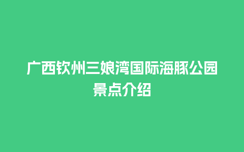 广西钦州三娘湾国际海豚公园景点介绍