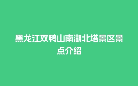 黑龙江双鸭山南湖北塔景区景点介绍