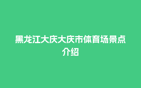 黑龙江大庆大庆市体育场景点介绍