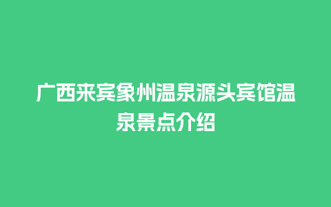 广西来宾象州温泉源头宾馆温泉景点介绍