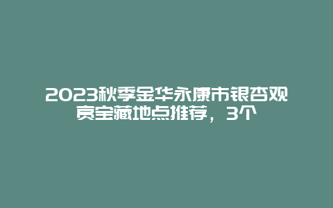 2024年秋季金华永康市银杏观赏宝藏地点推荐，3个