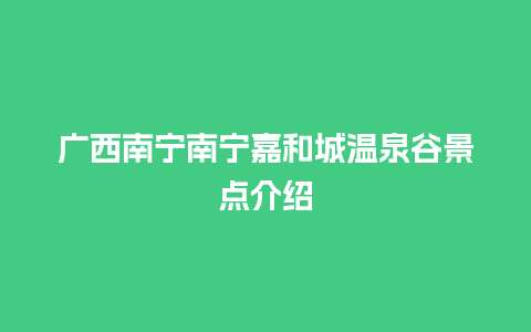 广西南宁南宁嘉和城温泉谷景点介绍