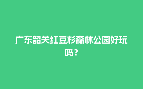 广东韶关红豆杉森林公园好玩吗？