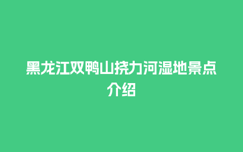 黑龙江双鸭山挠力河湿地景点介绍