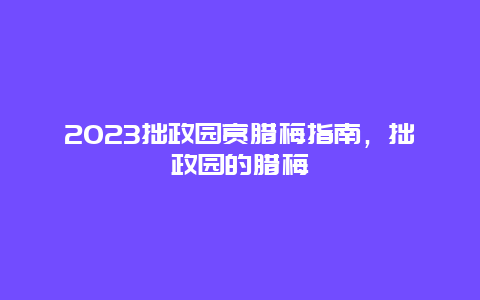 2024年拙政园赏腊梅指南，拙政园的腊梅