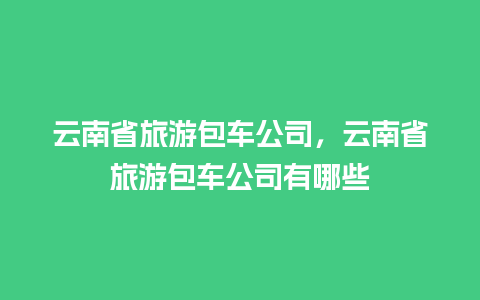 云南省旅游包车公司，云南省旅游包车公司有哪些