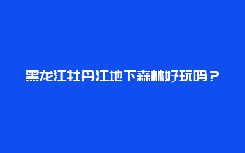 黑龙江牡丹江地下森林好玩吗？