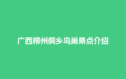 广西柳州侗乡鸟巢景点介绍