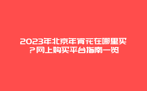 2024年北京年宵花在哪里买？网上购买平台指南一览