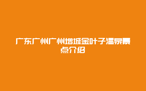 广东广州广州增城金叶子温泉景点介绍