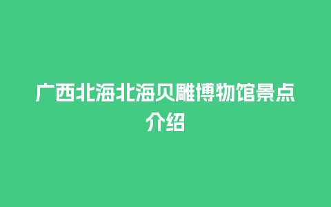 广西北海北海贝雕博物馆景点介绍