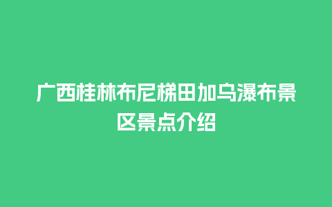 广西桂林布尼梯田加乌瀑布景区景点介绍