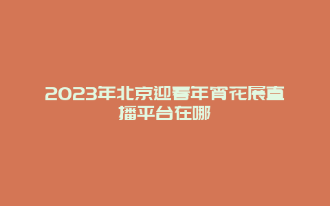 2024年北京迎春年宵花展直播平台在哪