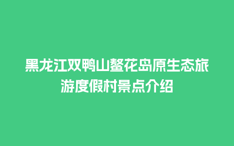 黑龙江双鸭山鳌花岛原生态旅游度假村景点介绍