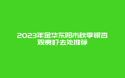 2024年金华东阳市秋季银杏观赏好去处推荐