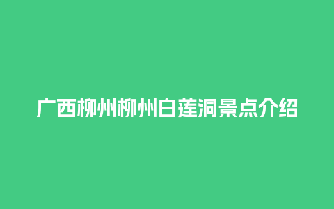 广西柳州柳州白莲洞景点介绍